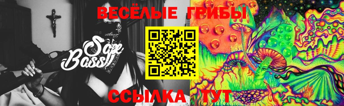 Галлюциногенные грибы MAGIC MUSHROOMS Каменск-Шахтинский